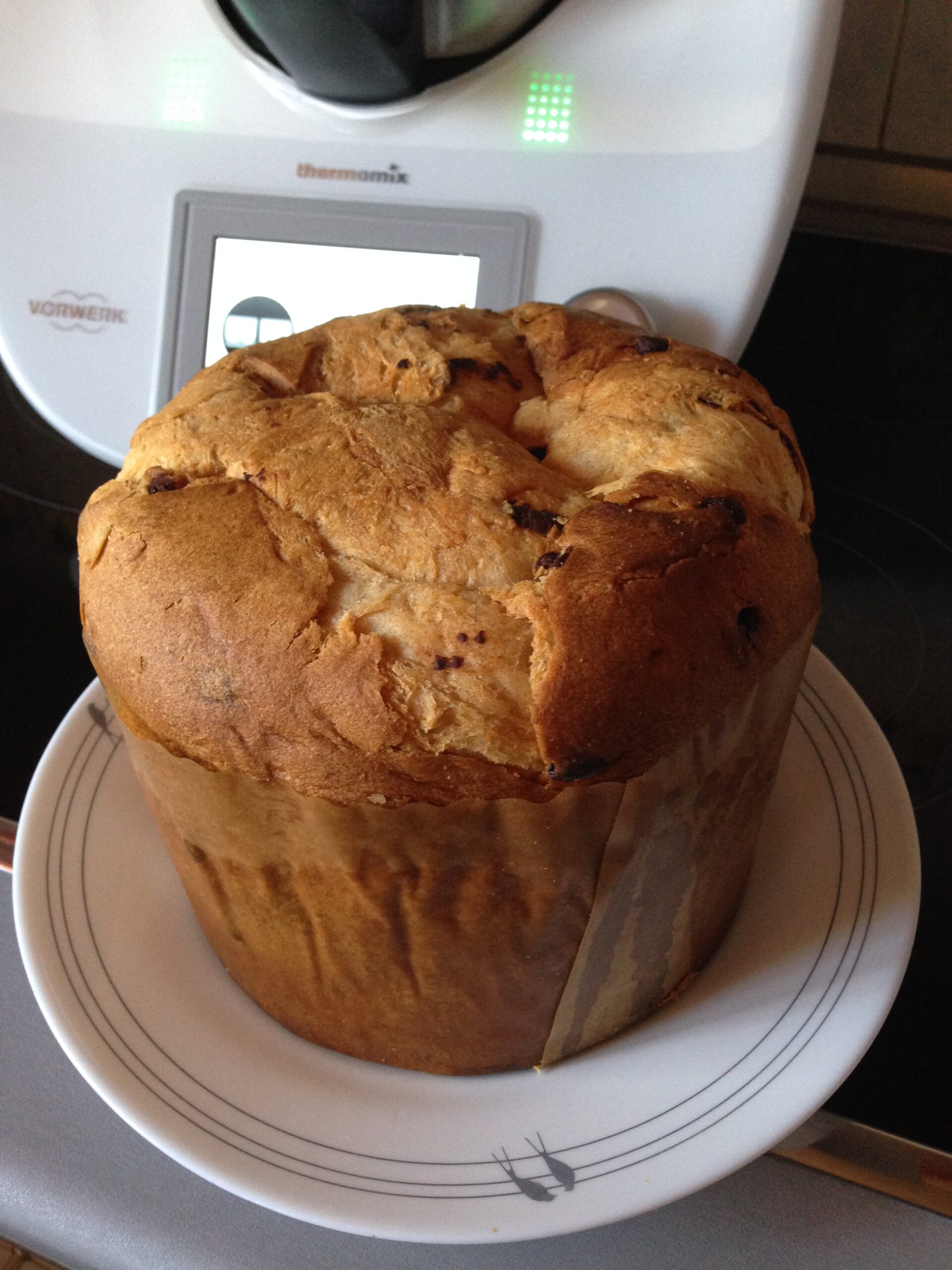 PANETTONE