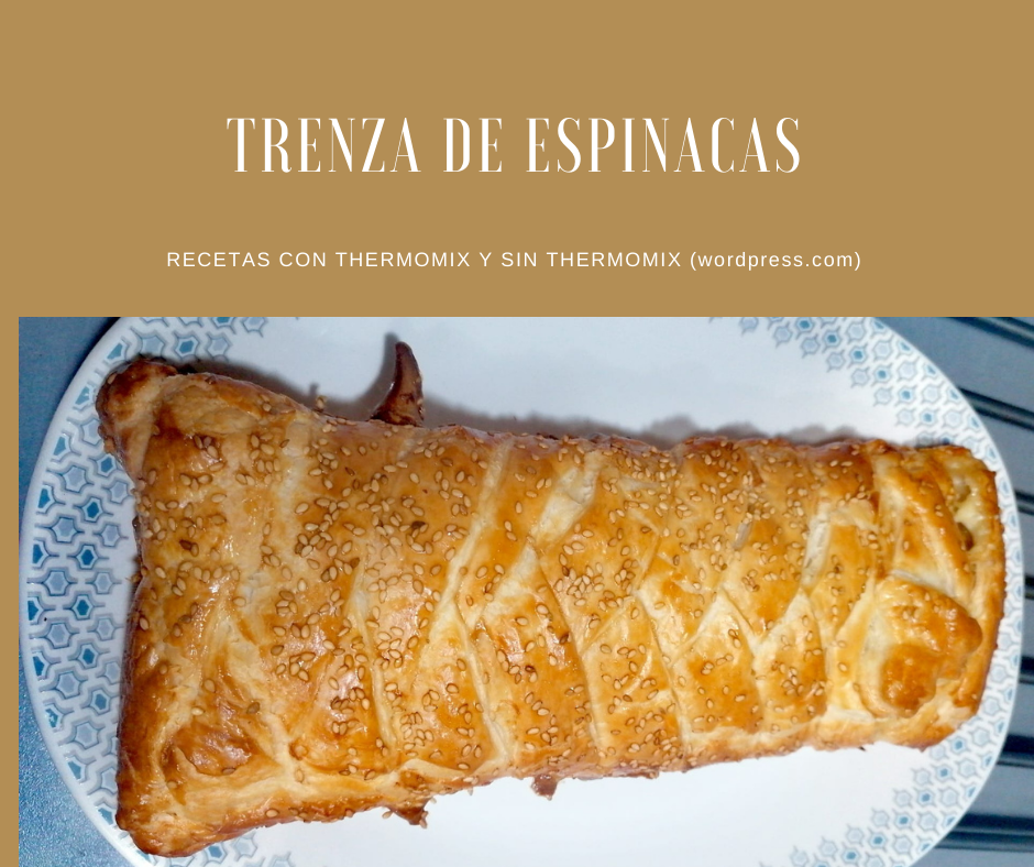 TRENZA DE ESPINACAS